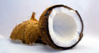 Getting To Know The Coconut Essential Oil