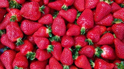 Fragrance Oil - Strawberry Scent