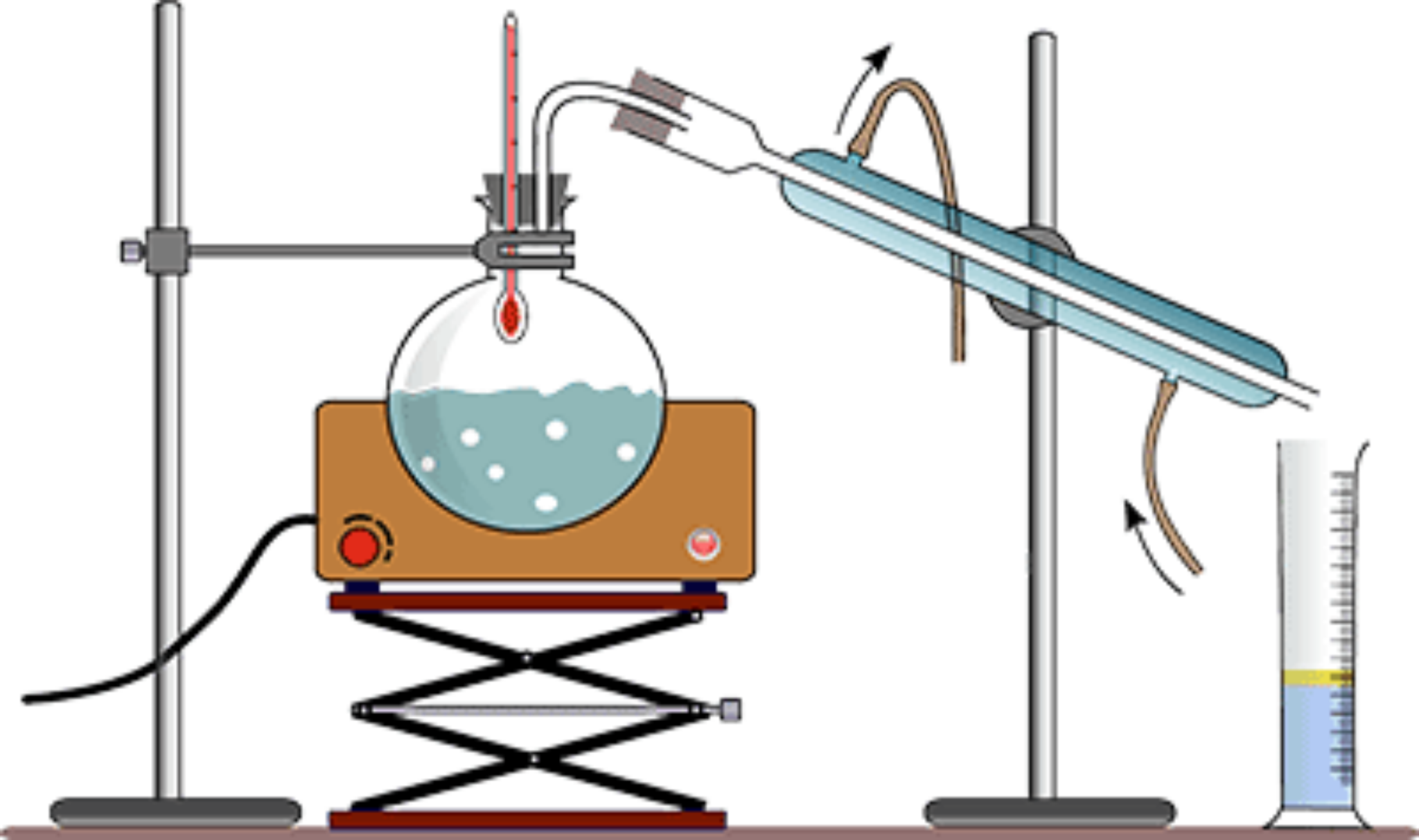What Is A Cinnamon Fragrance Oil? All Things Massage