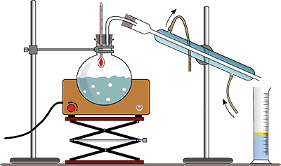 Cinnamon Fragrance Oil - Distillation Process