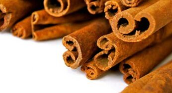 What Is A Cinnamon Fragrance Oil?